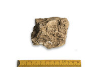 F 00829
<br/>
<br/>
<em></em>